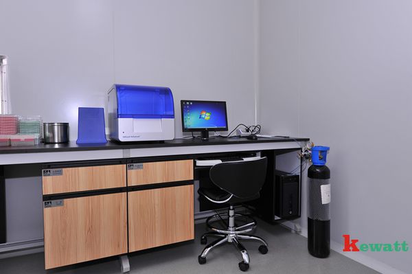 PCR實驗室產物分析