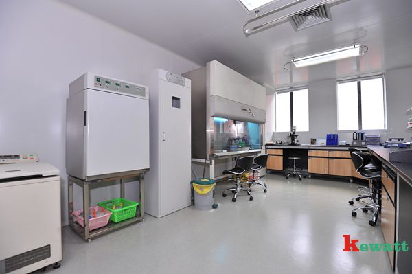 脊髓灰質炎病毒實驗室